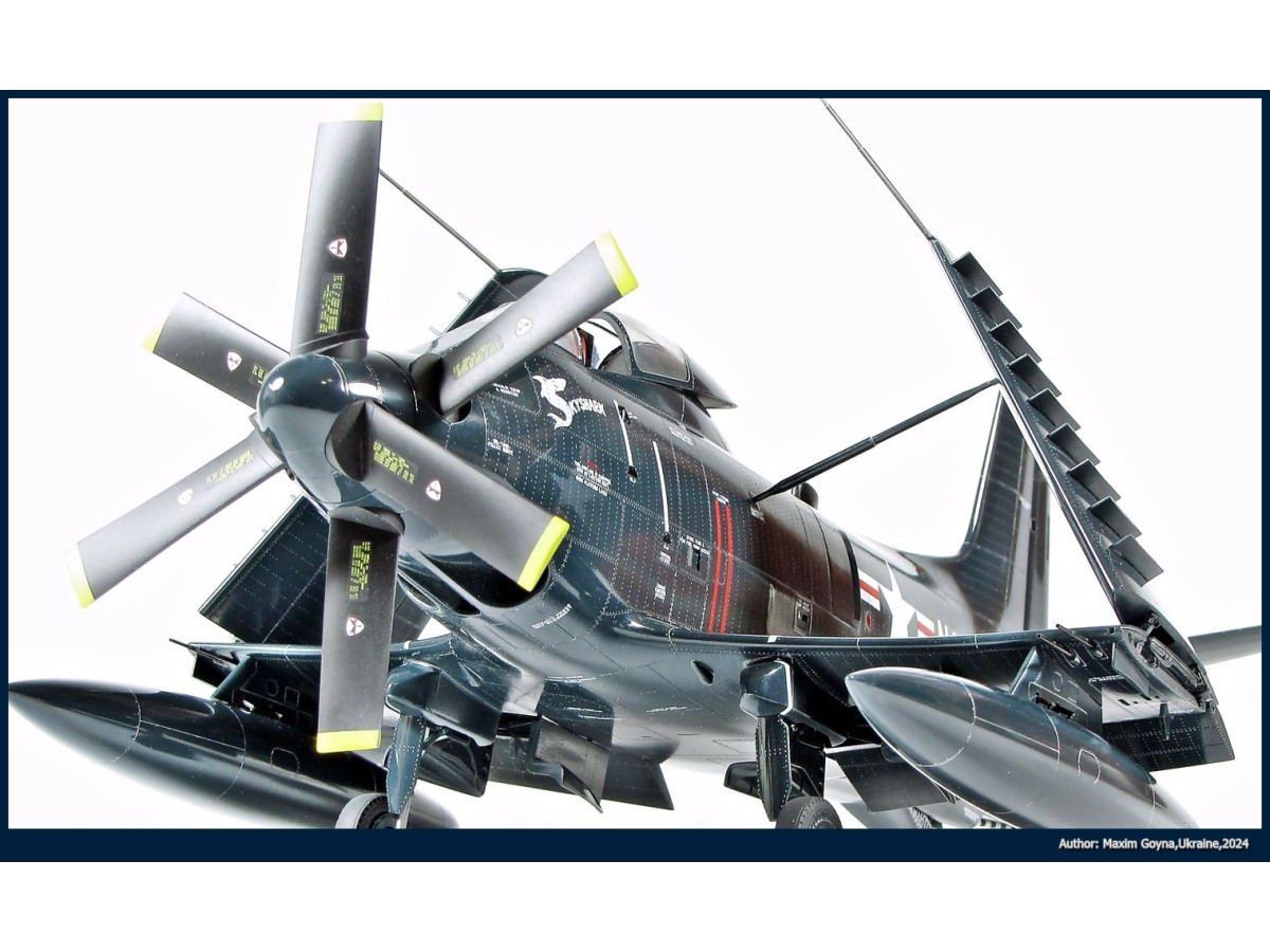 1/48 A2D-1 Skyshark from Maxim Goyna, Ukraine