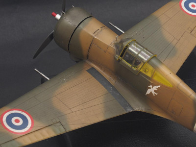 1/48 H-75N Hawk from Tali, Ukraine