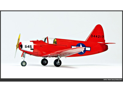 1/48 CULVER PQ-14A from Maxim Goyna, Ukraine