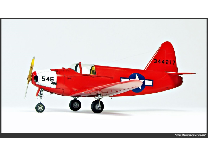 1/48 CULVER PQ-14A from Maxim Goyna, Ukraine