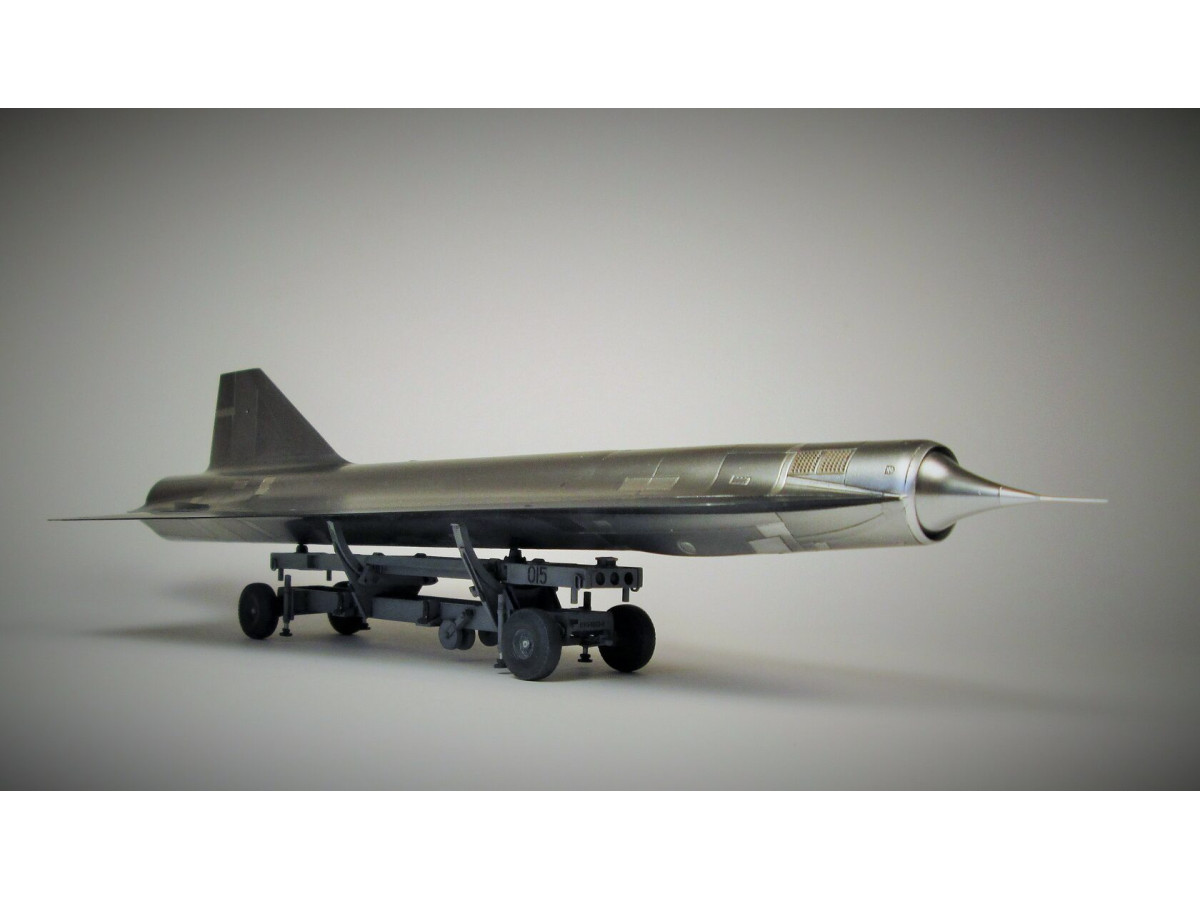 1/48 D-21A Drone from Sasha As, Ukraine